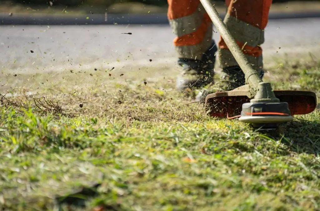 Tips Menggunakan Mesin Pemotong Rumput